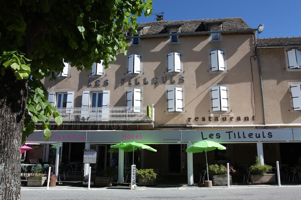 Hotel Les Tilleuls De Pareloup A Salles-Curan 외부 사진